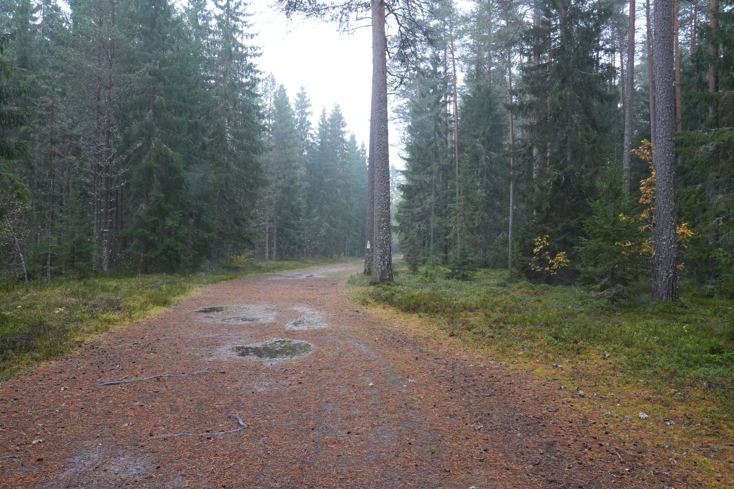 Aegviidu – Napu