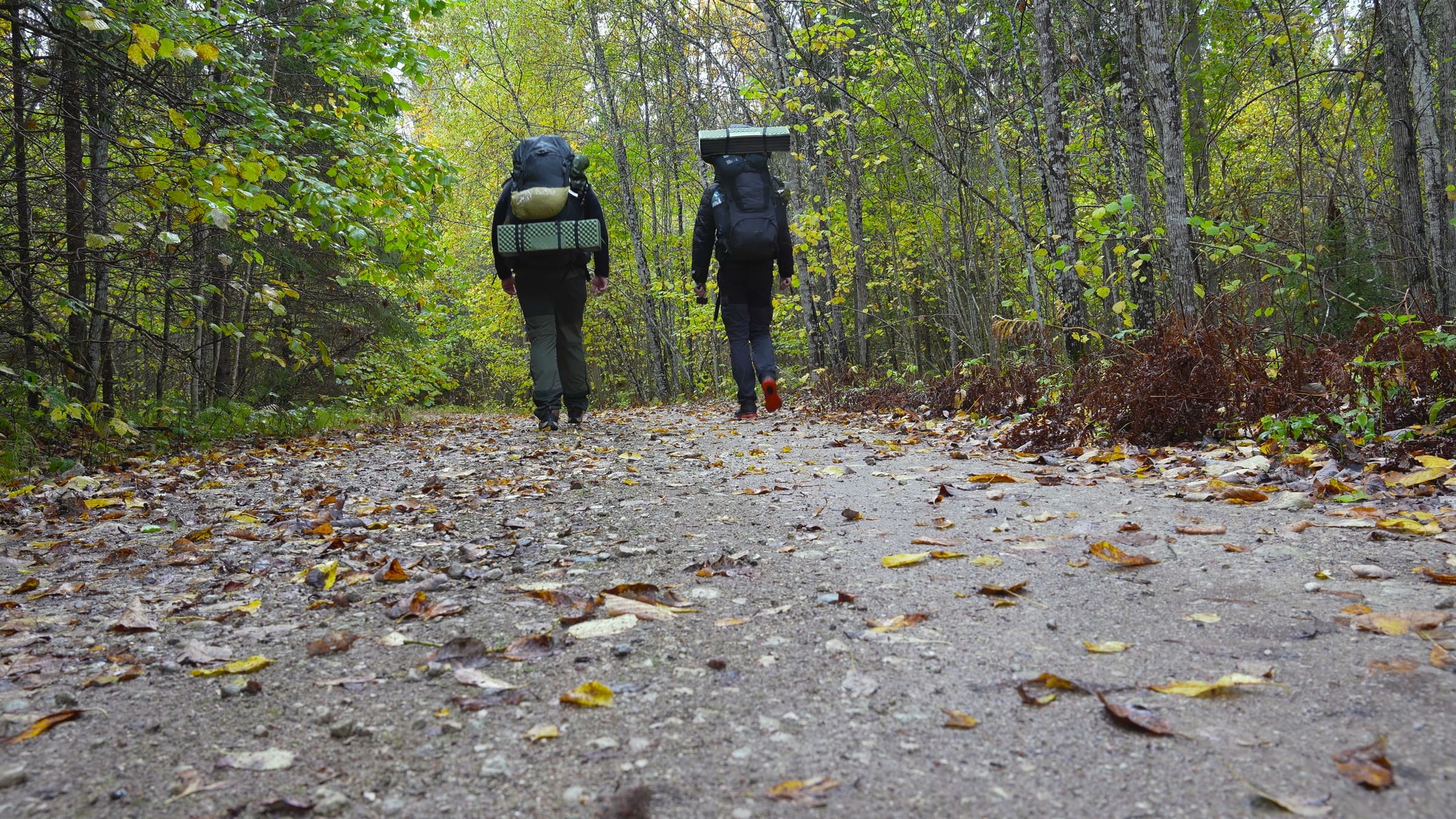 Autumn colours on the trail
