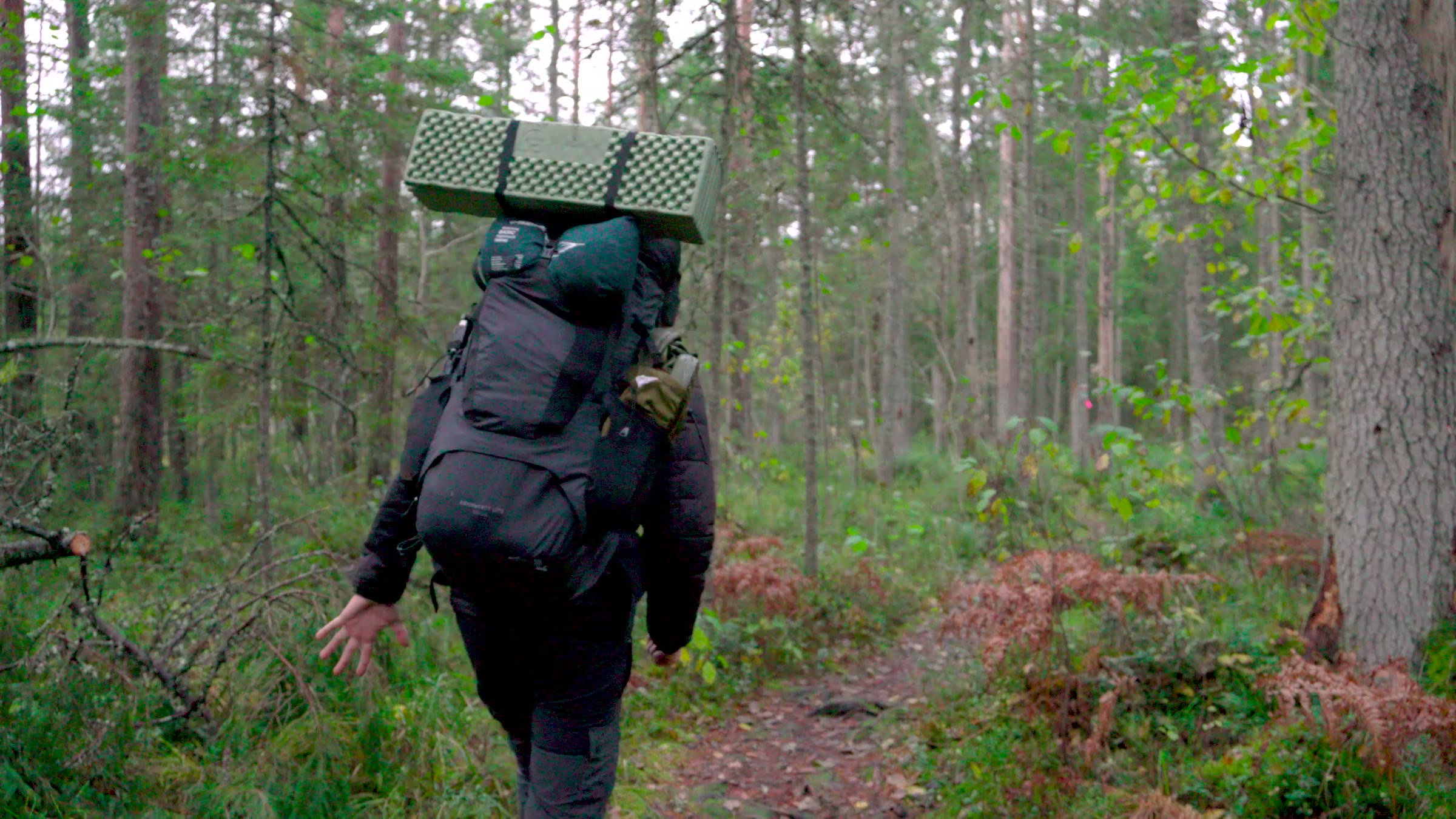 The deuter Aircontact Lite 50+10 on the forest trail, foam mat on top