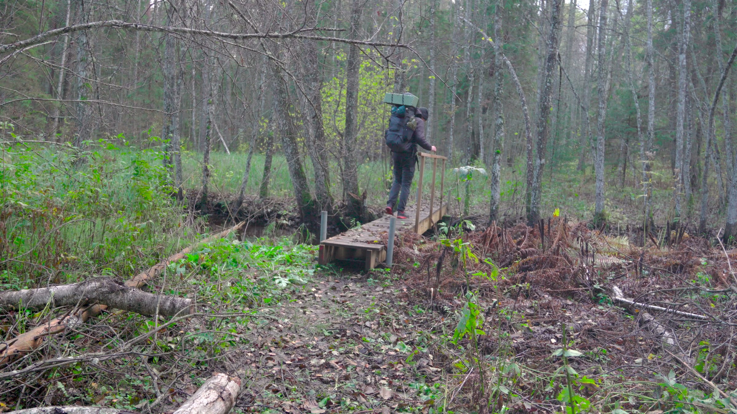 The log bridge over the stream