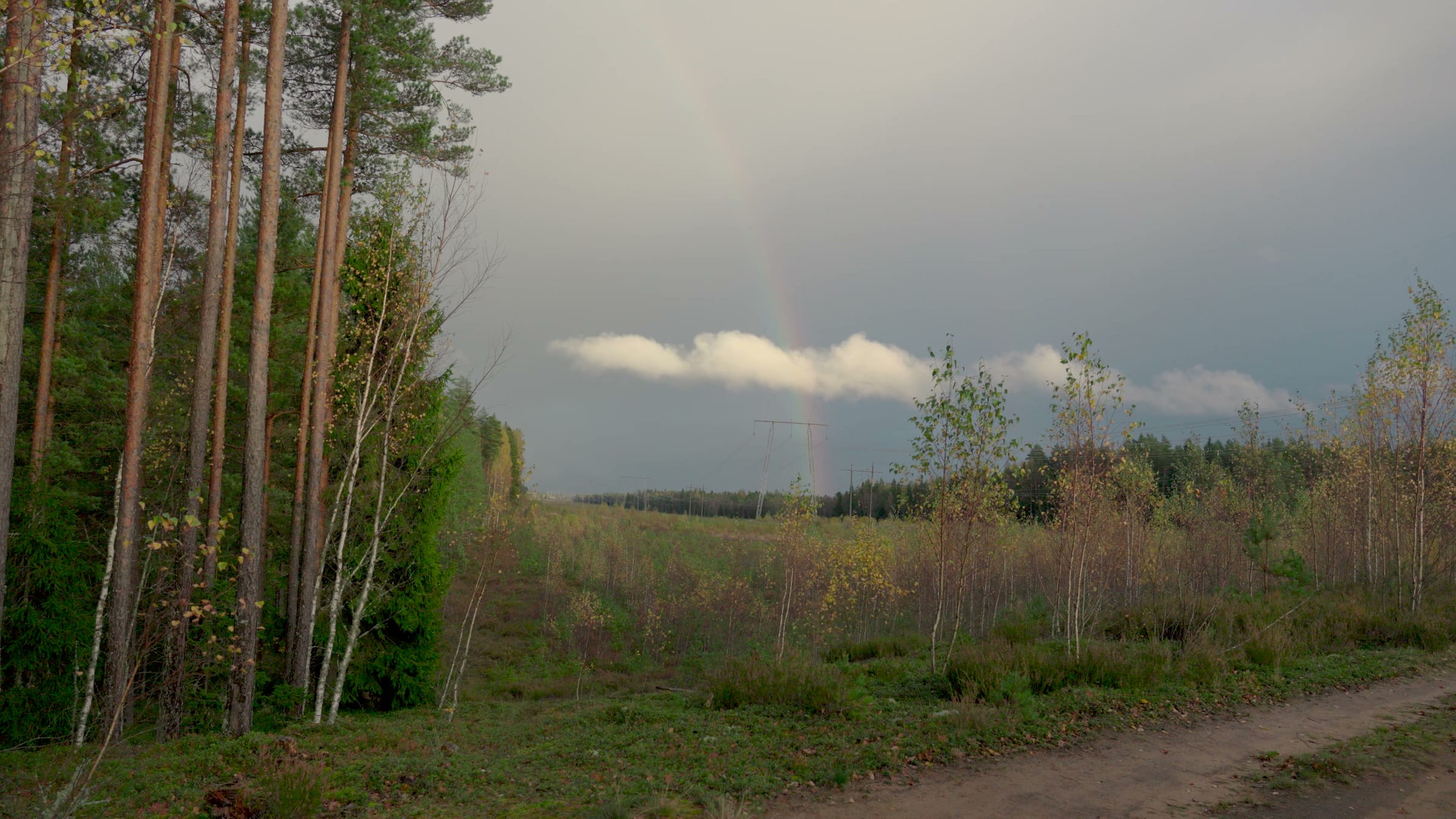 Rainbow over the fields after a day of rain