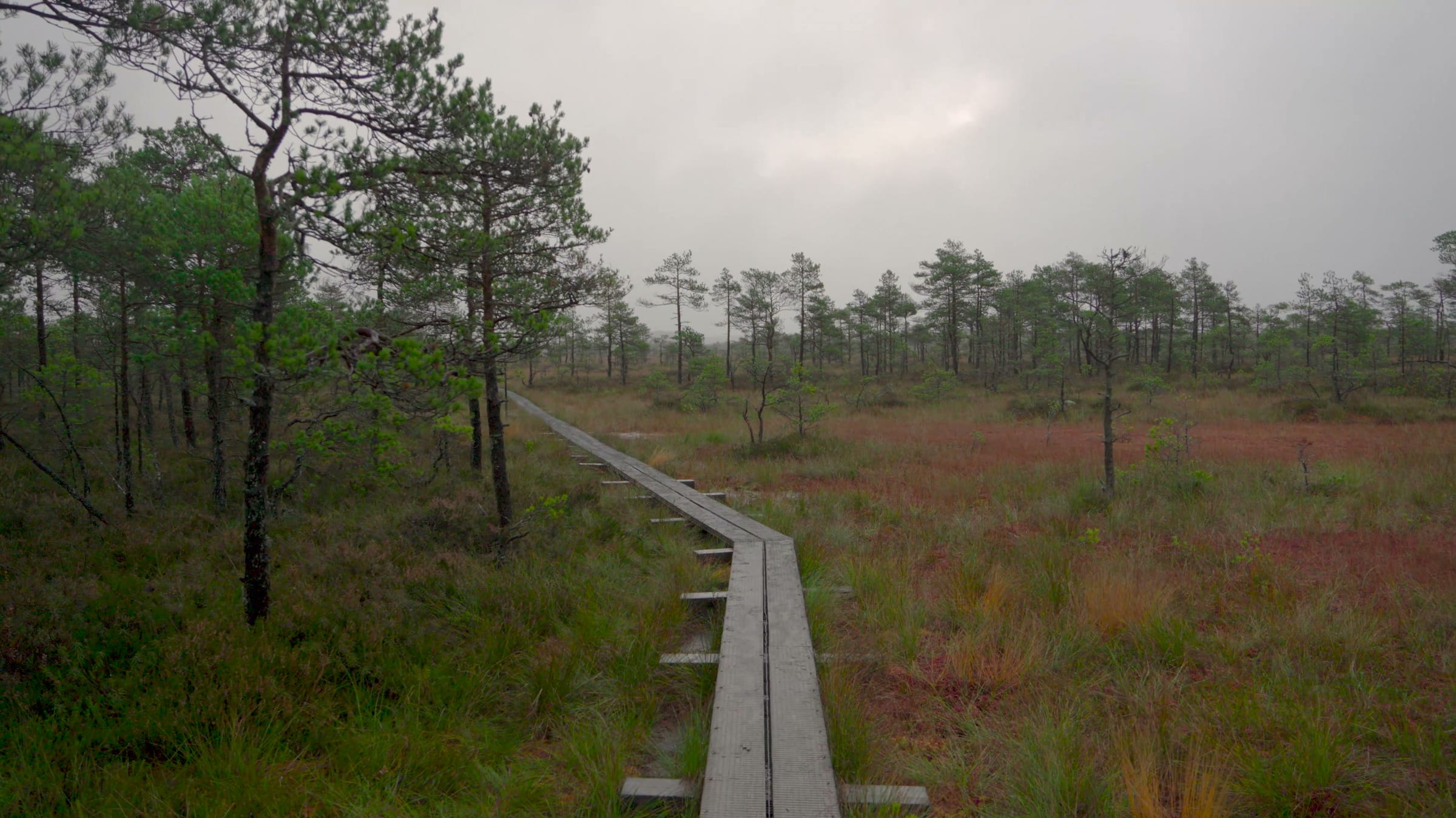 The boardwalk into Kakerdaja bog