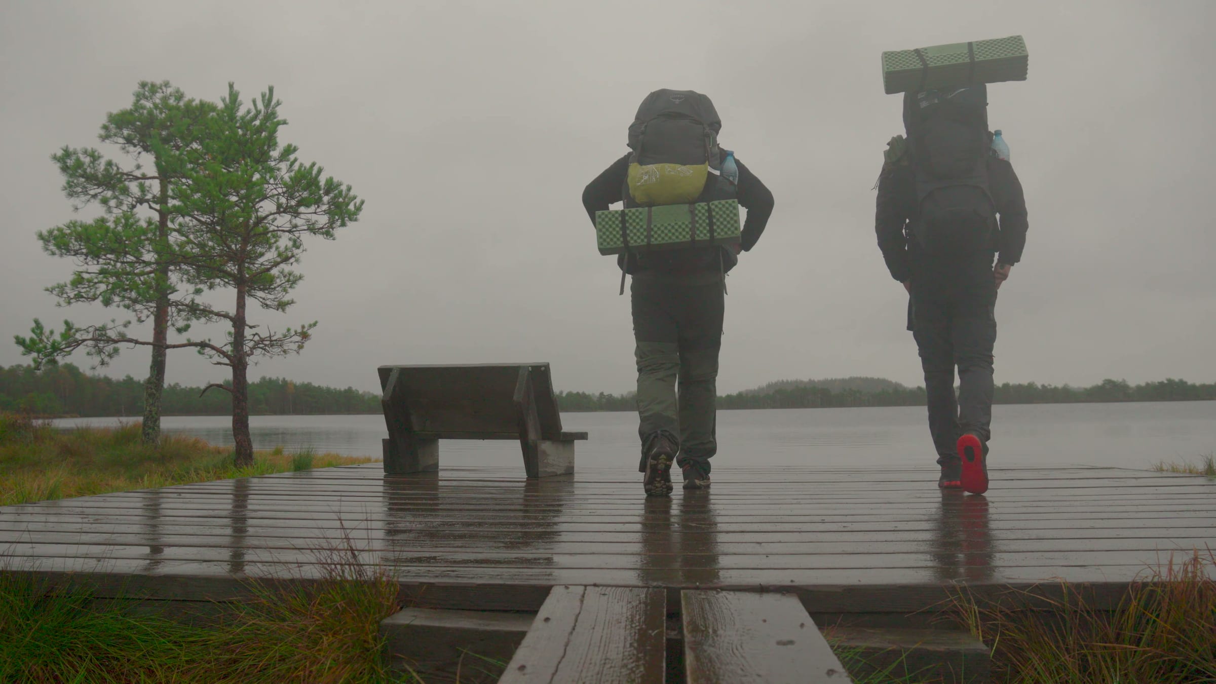 The bog lake in the fog, end of the boardwalk