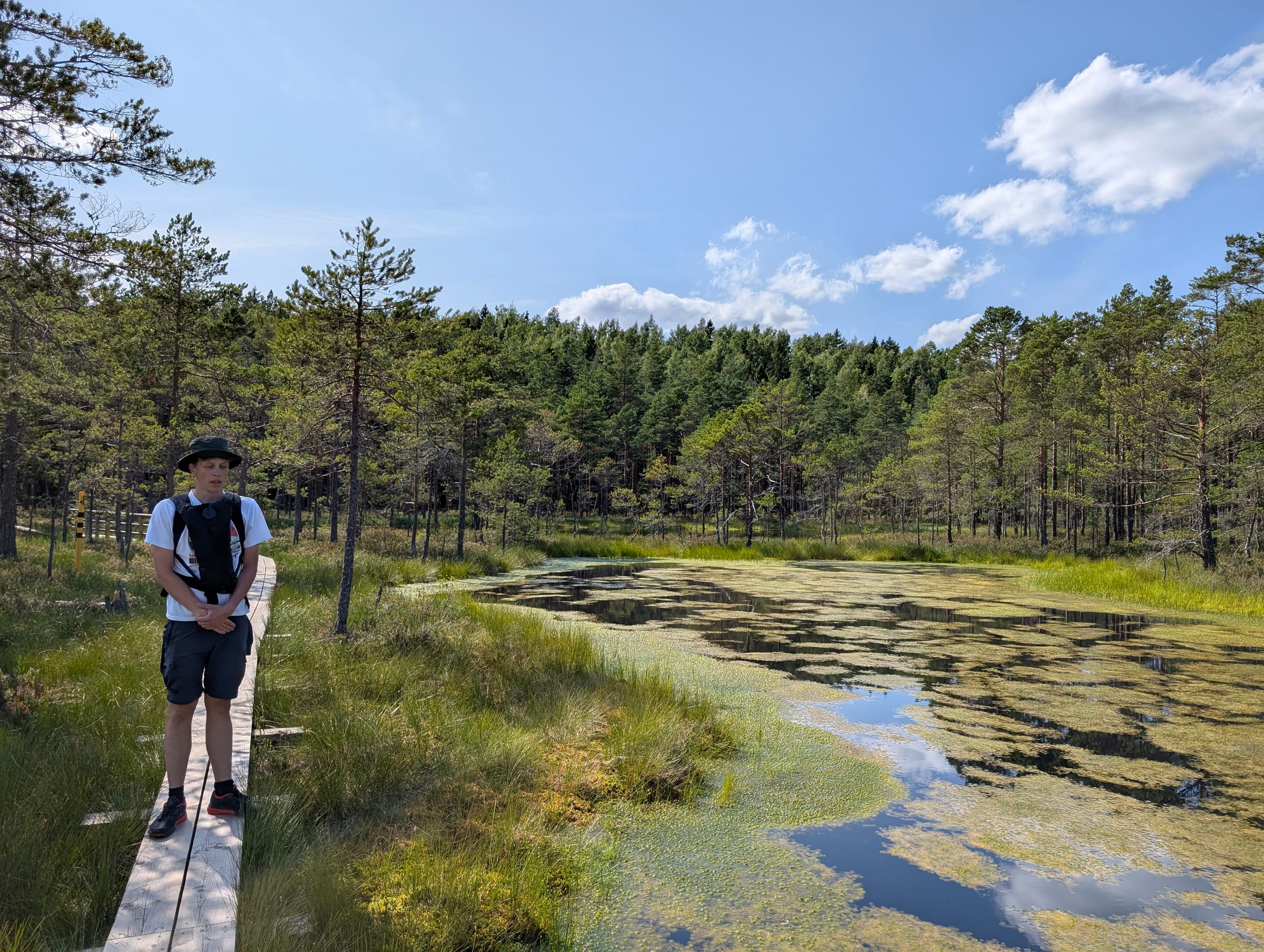 Boardwalk across the bog pools