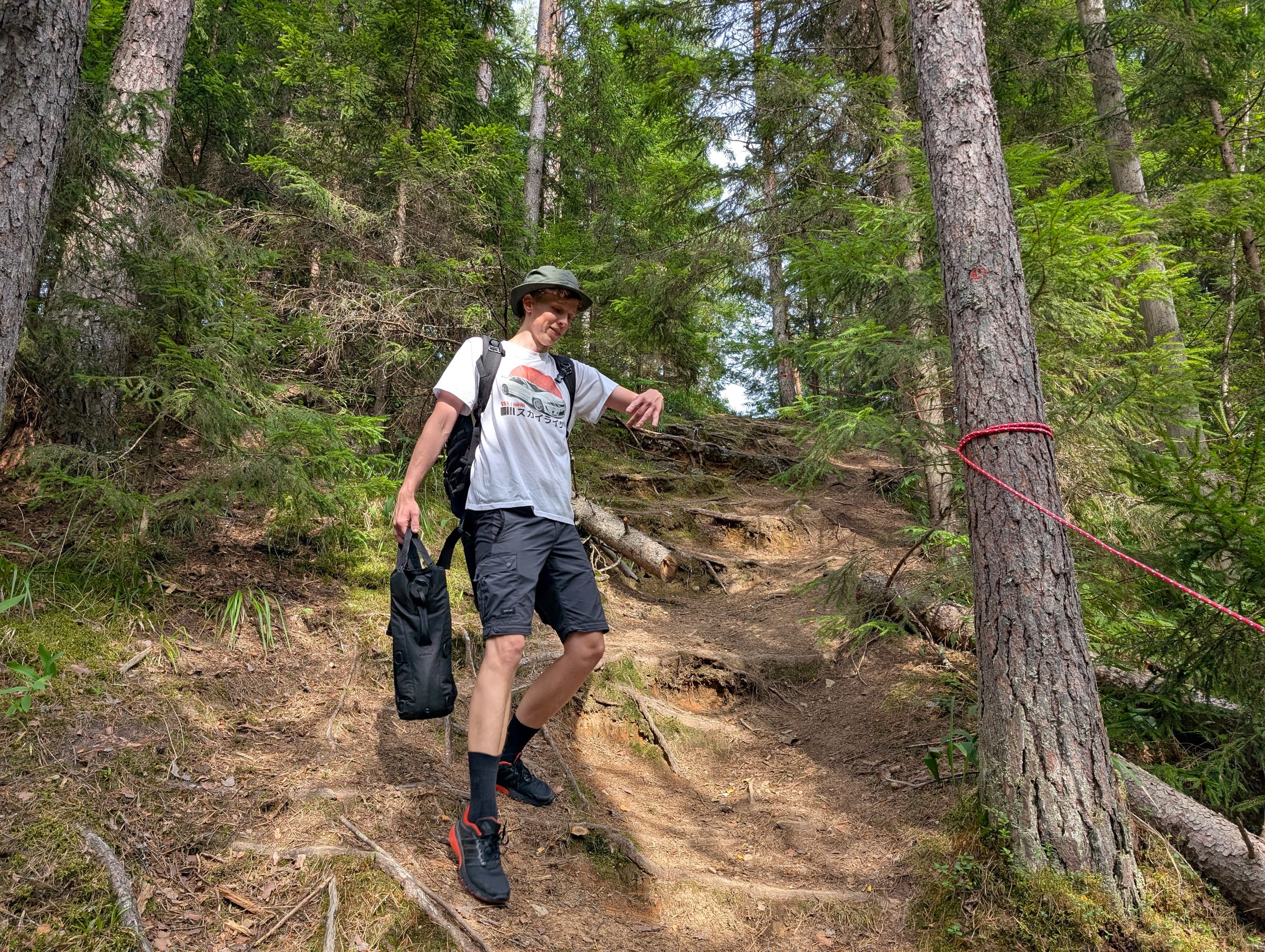 Up the esker through the pines