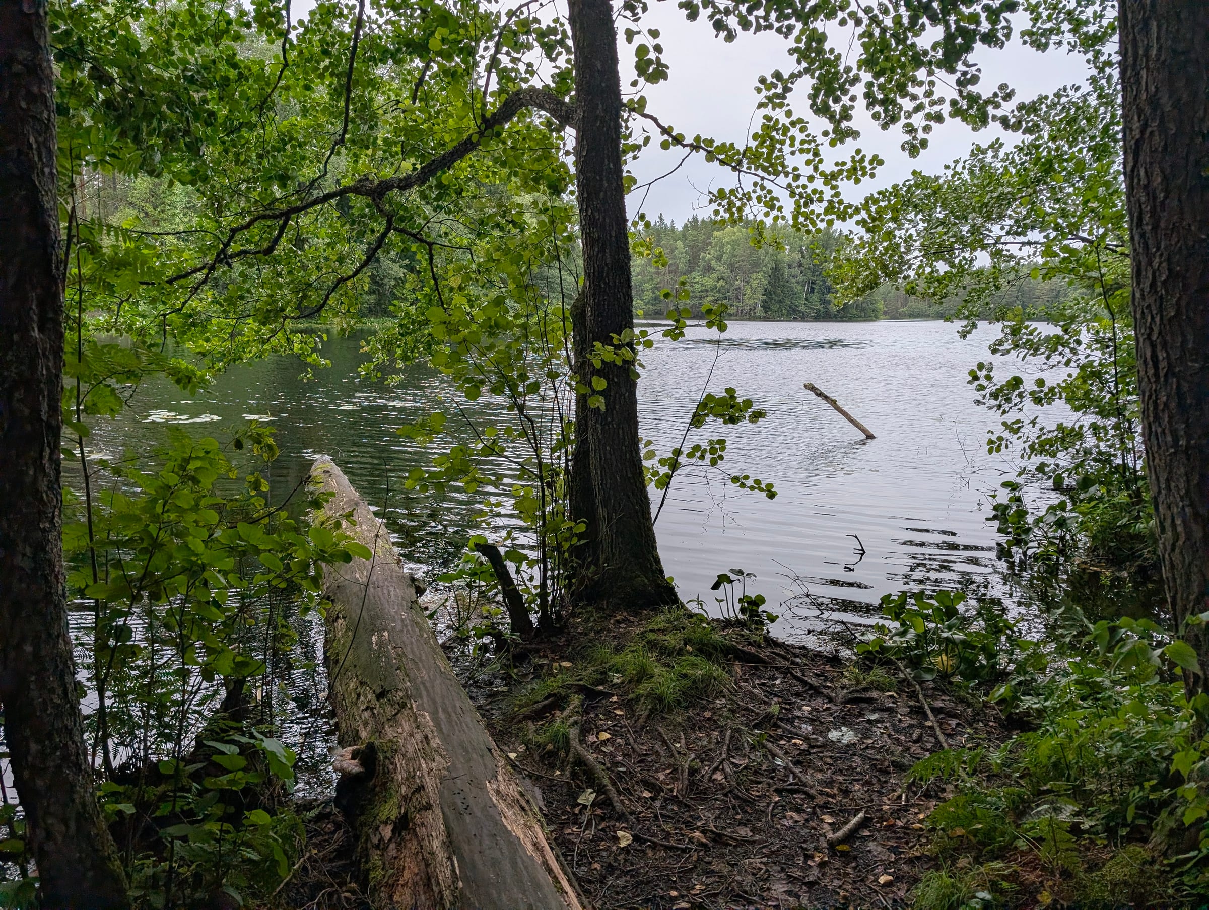 Järvi lakes