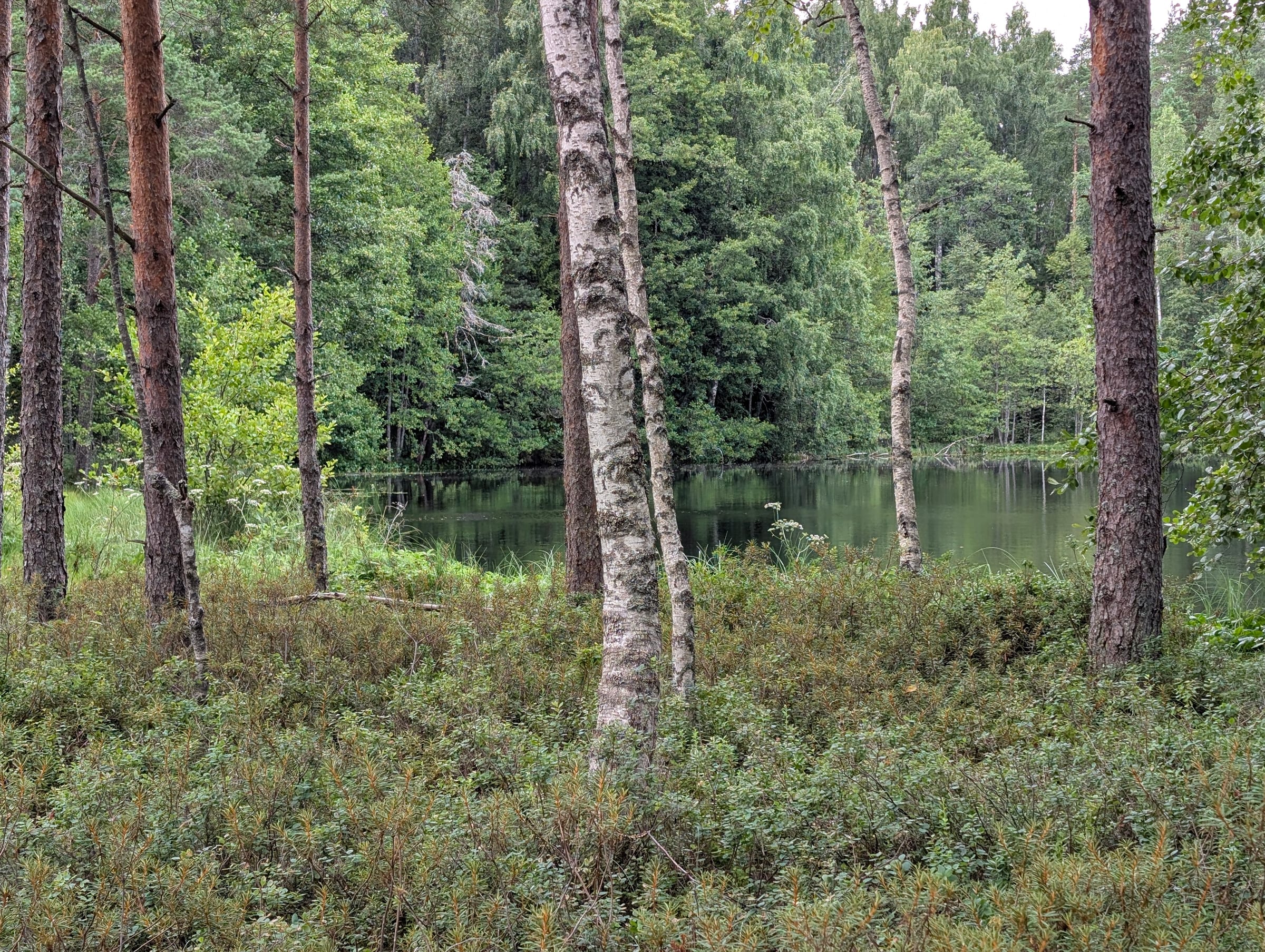 Järvi – Aegviidu
