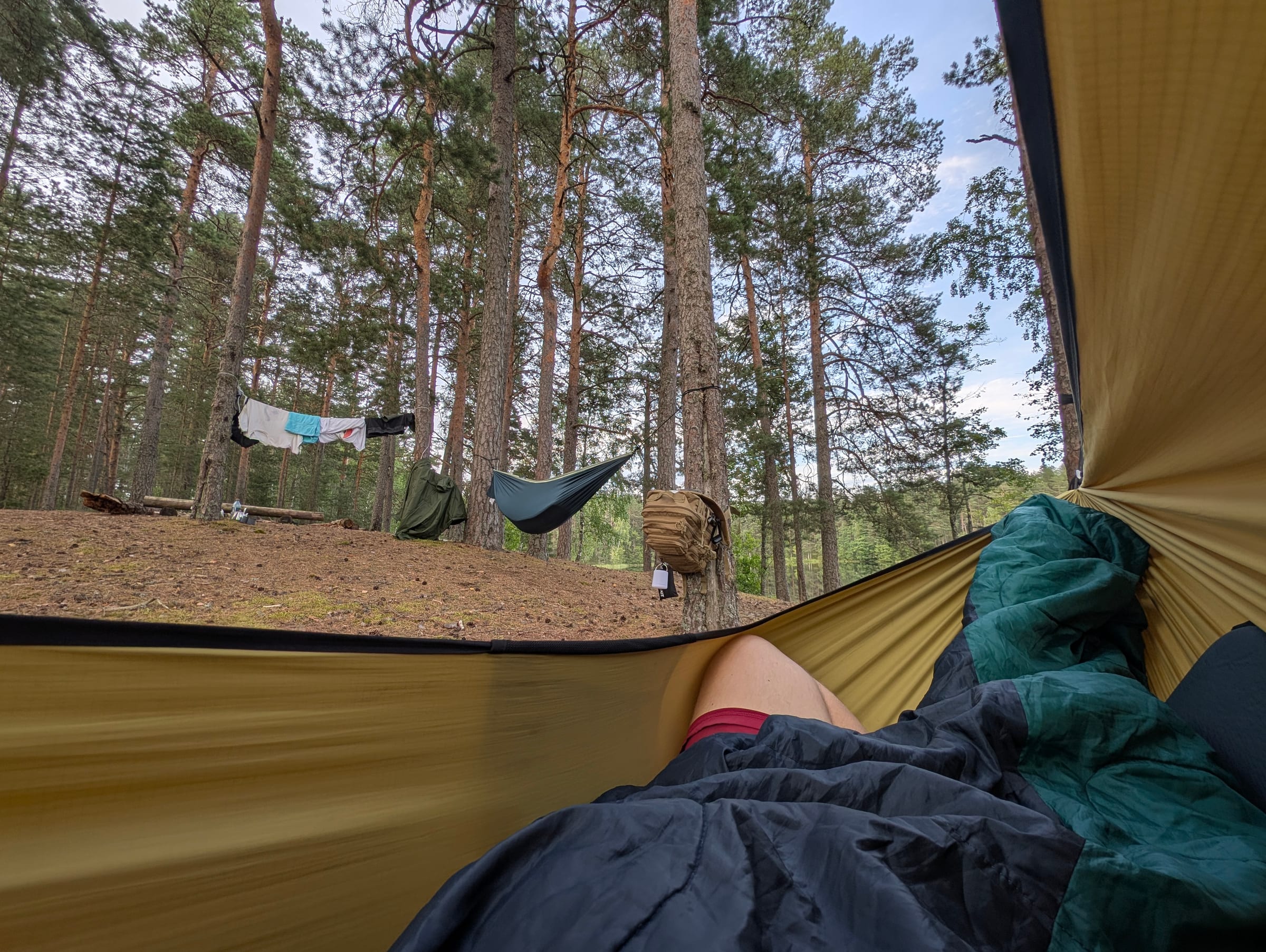 Evening from the hammock