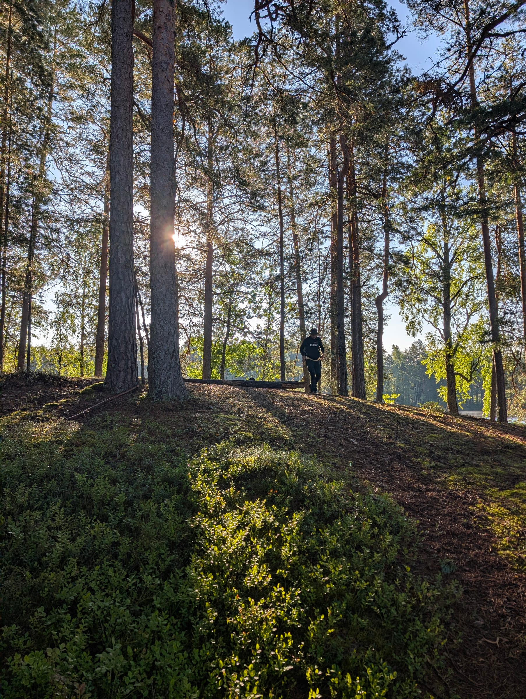 Morning light at camp