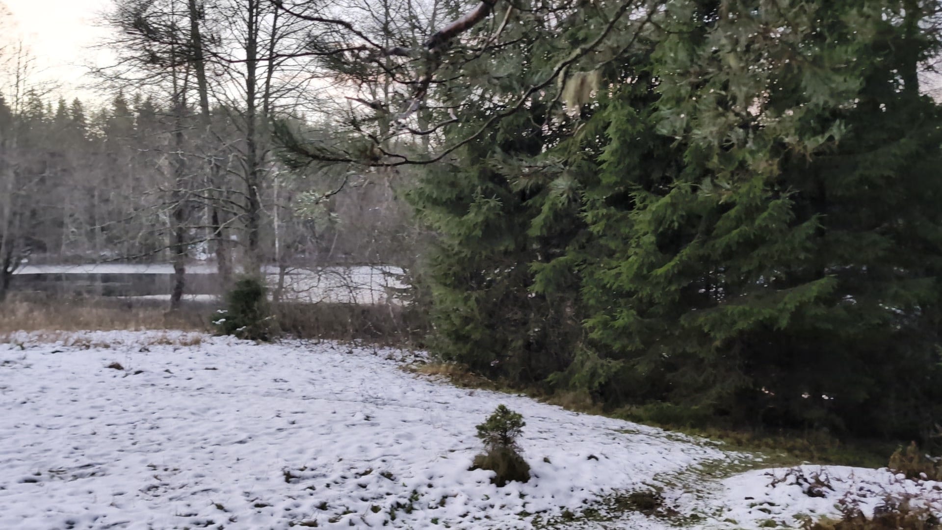 Pärnjärv hommikul