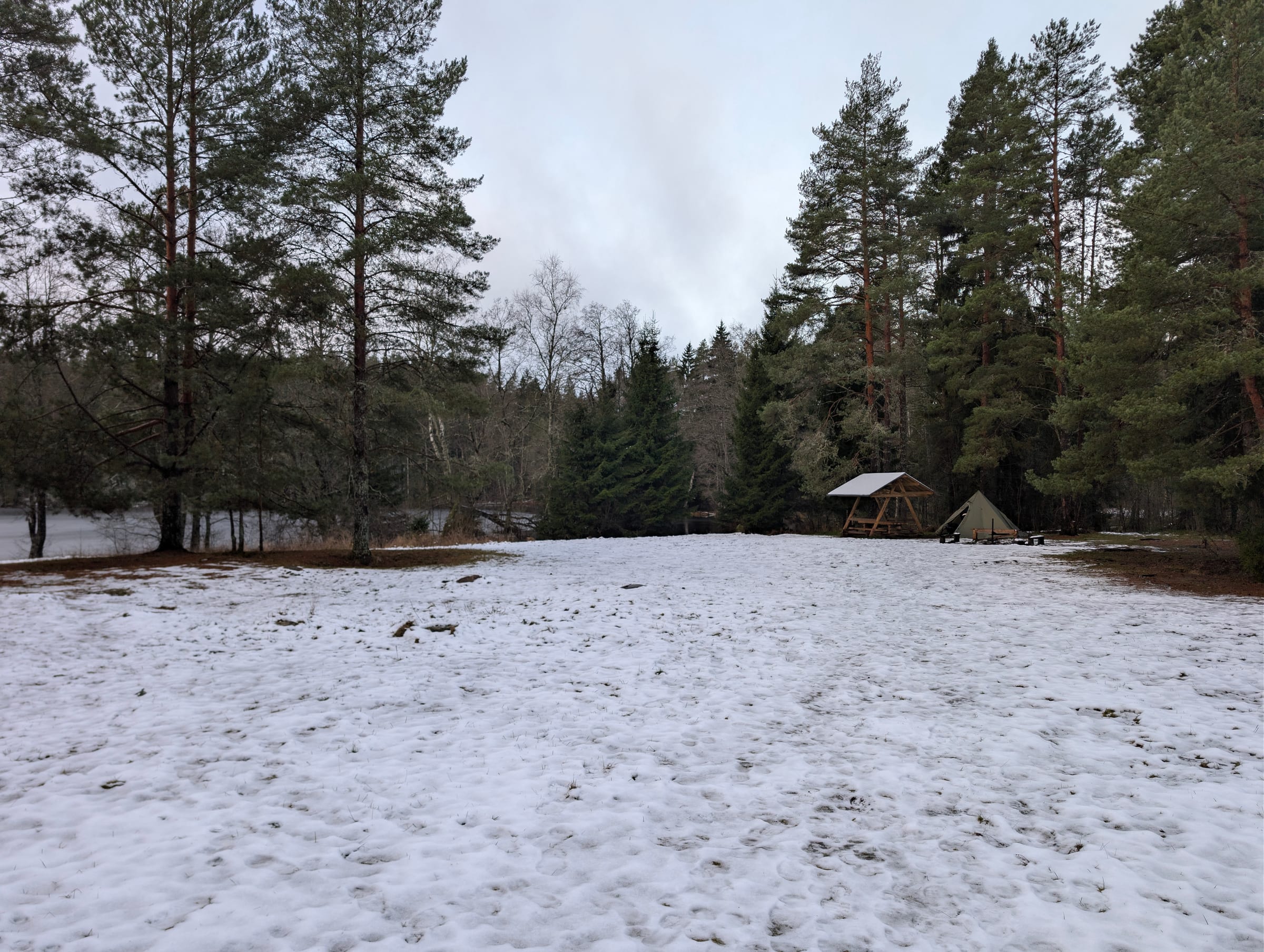 Telkimisala päevavalges