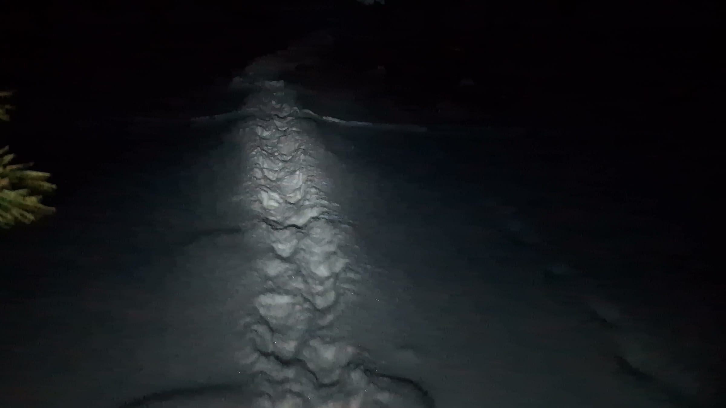Night walk to the sea