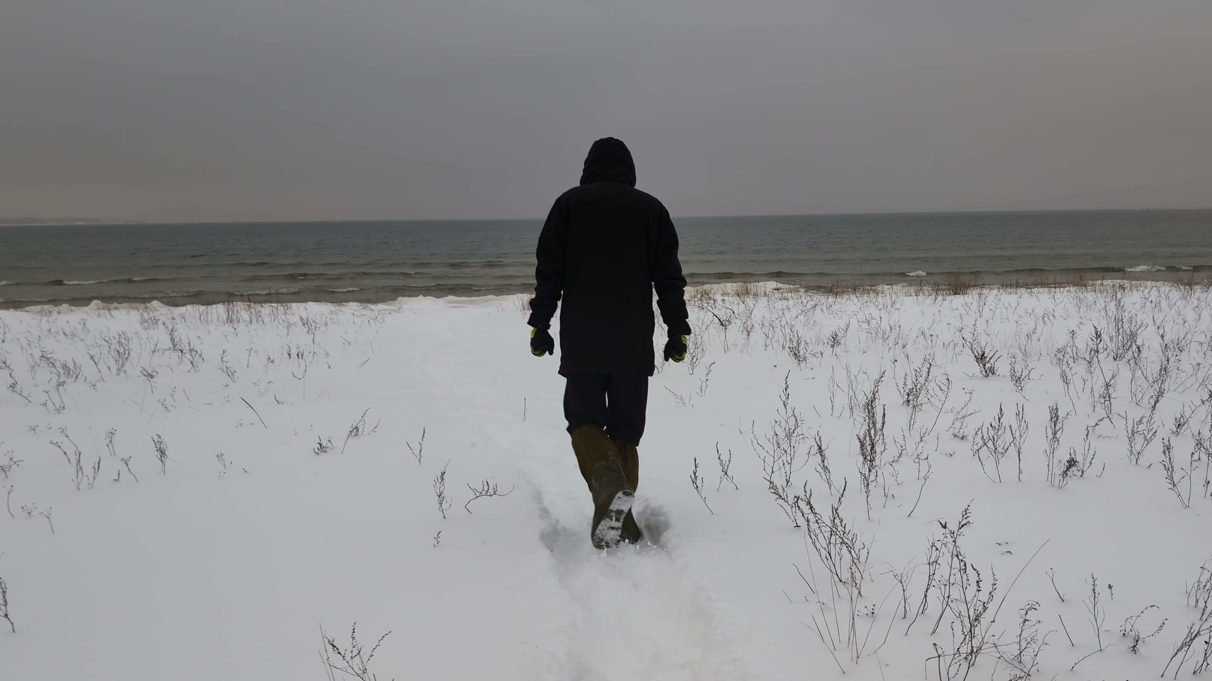 The frozen coast in daylight